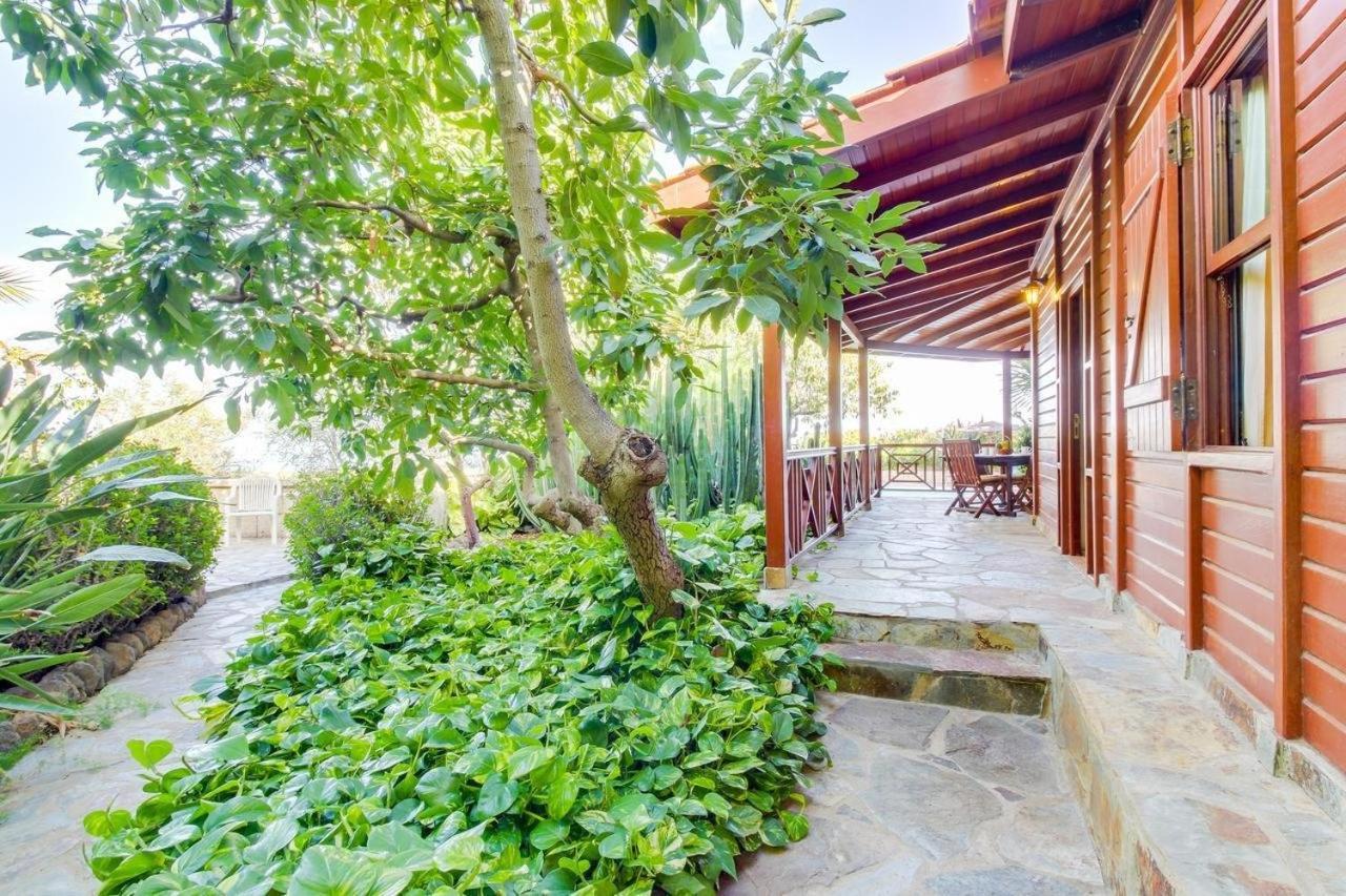 Villa Mimosa Arafo Bagian luar foto